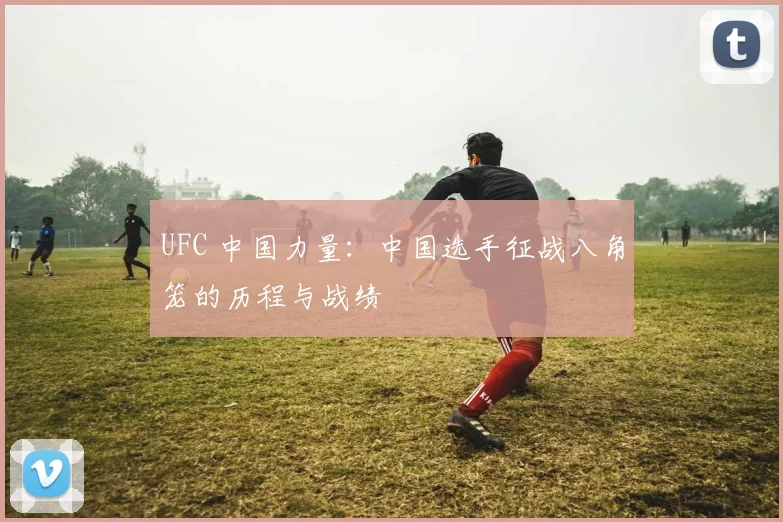 UFC 中国力量:中国选手征战八角笼的历程与战绩