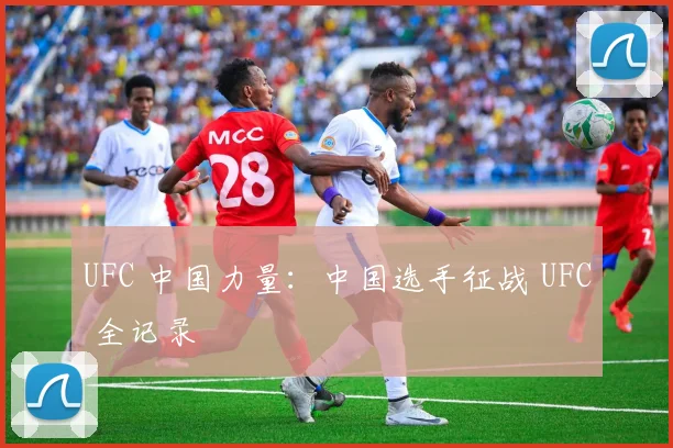 UFC 中国力量:中国选手征战 UFC 全记录