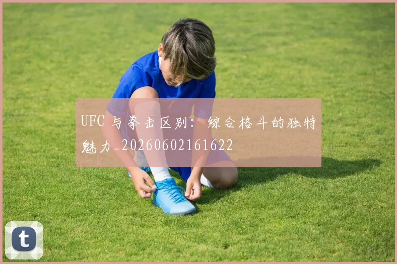 UFC 与拳击区别:综合格斗的独特魅力_20260602161622