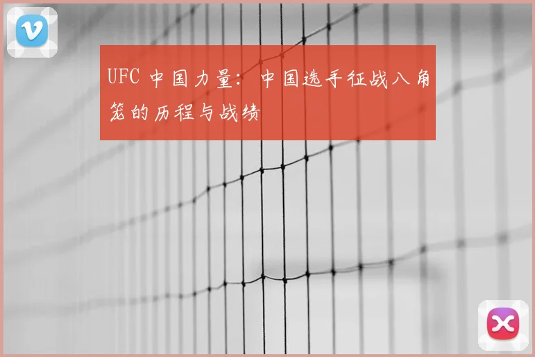 UFC 中国力量:中国选手征战八角笼的历程与战绩