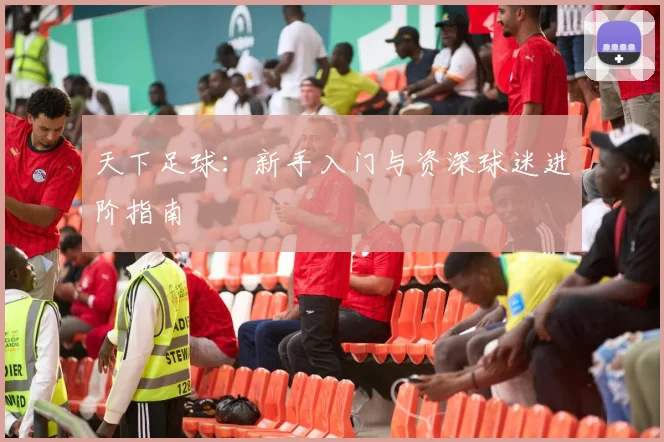 天下足球：新手入门与资深球迷进阶指南