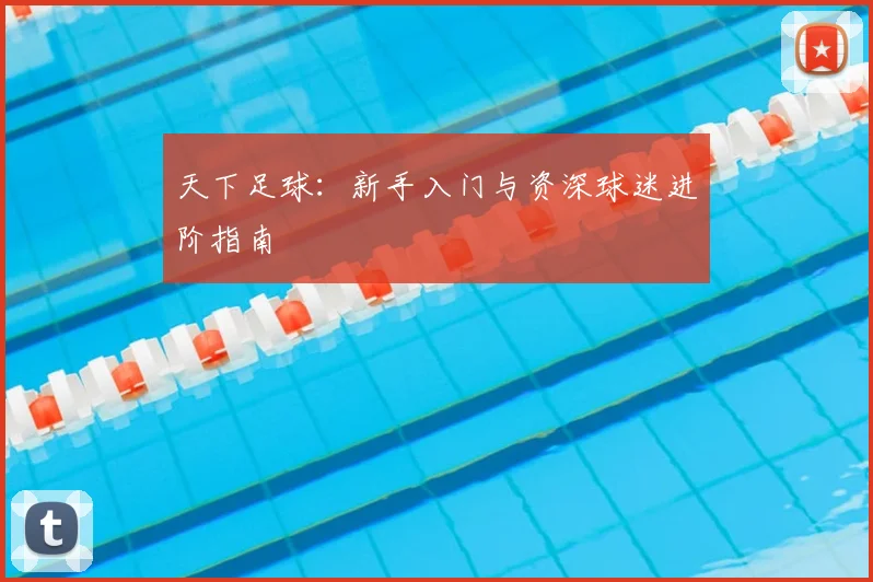 天下足球:新手入门与资深球迷进阶指南